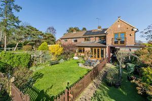 Photo 5- click for photo gallery